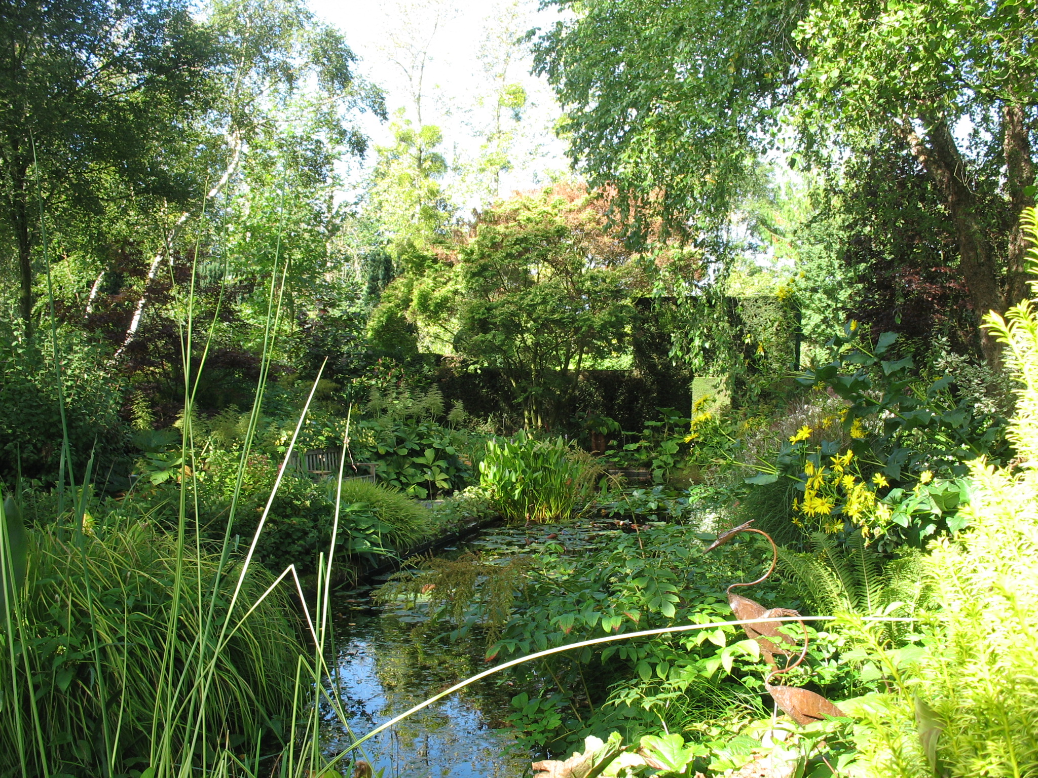 jardin-castillon
